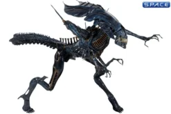 Ultra Deluxe Xenomorph Queen
