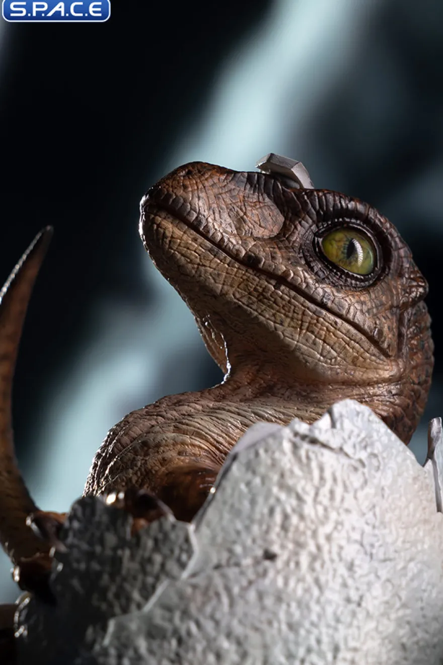 Velociraptor Egg Hatching Statue