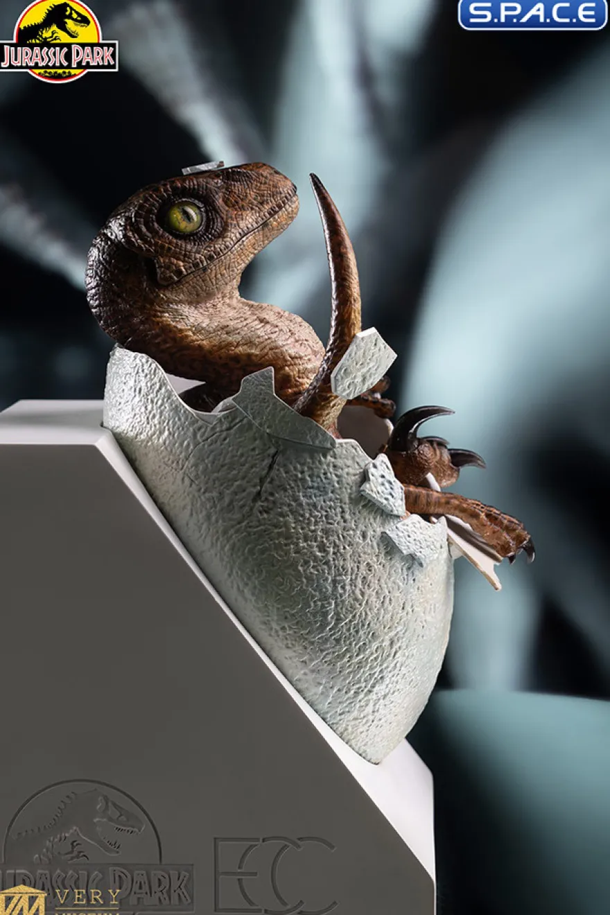 Velociraptor Egg Hatching Statue