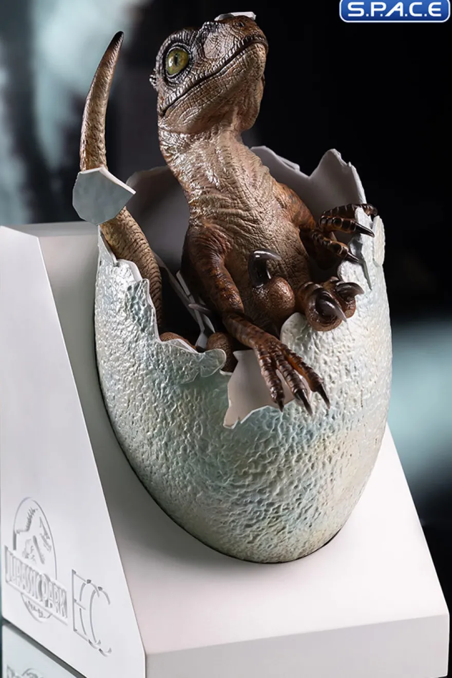 Velociraptor Egg Hatching Statue