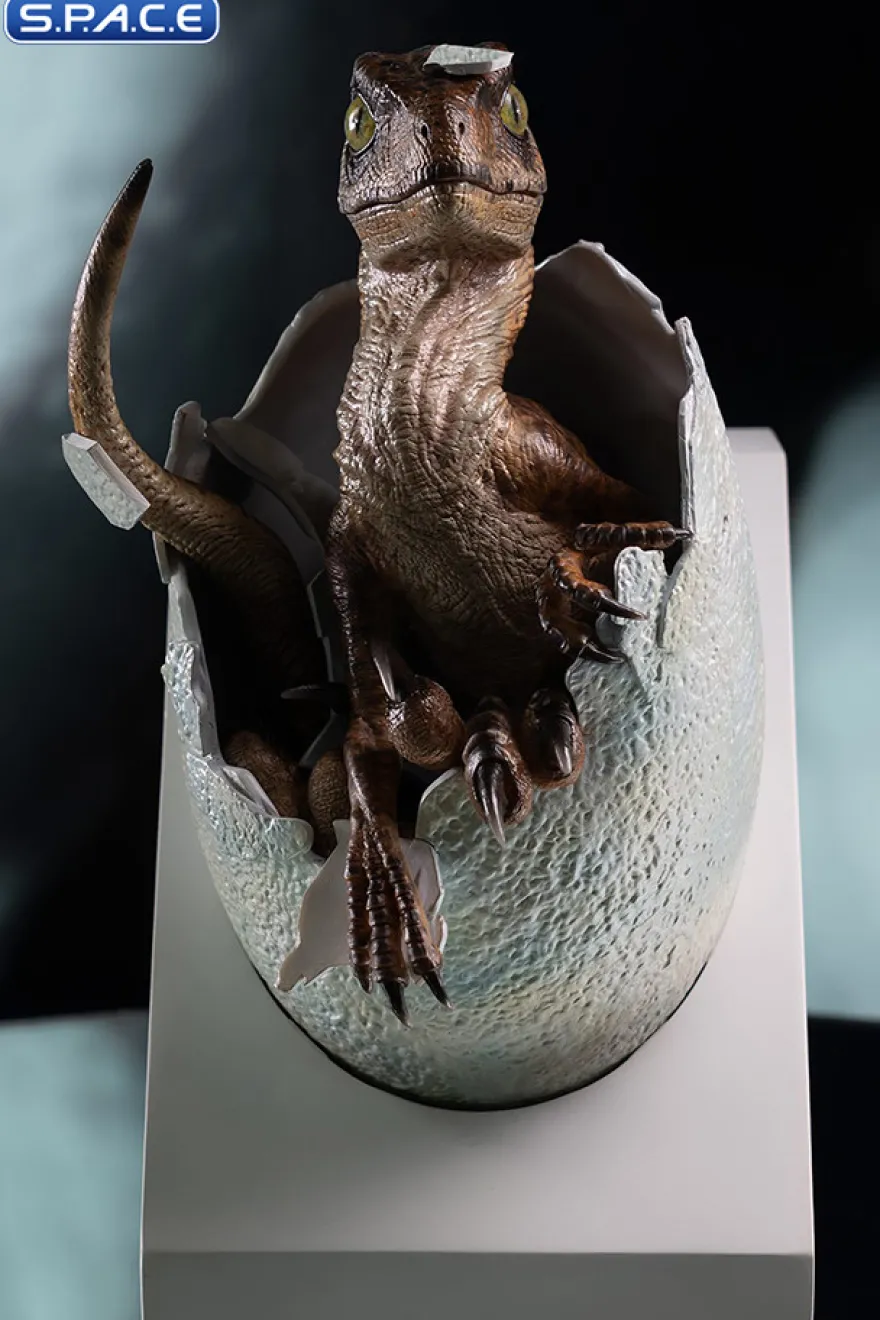 Velociraptor Egg Hatching Statue