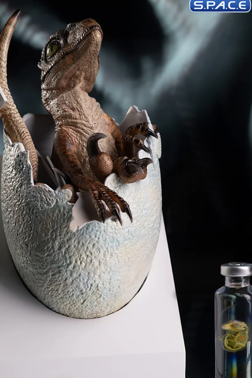 Velociraptor Egg Hatching Statue