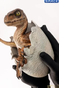 Velociraptor Egg Hatching Statue
