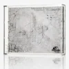 Velociraptor Excavation 3D Map