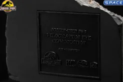 1:1 Velociraptor Eye Life-Size Replica