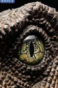 1:1 Velociraptor Eye Life-Size Replica