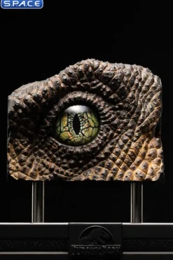 1:1 Velociraptor Eye Life-Size Replica