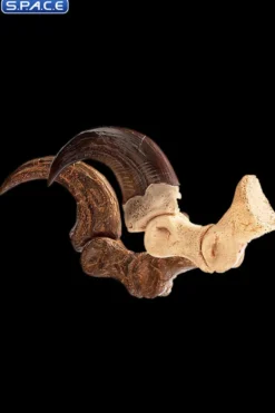 1:1 Velociraptor Foot Claw & Fossil Claw Life-Size Replica Set