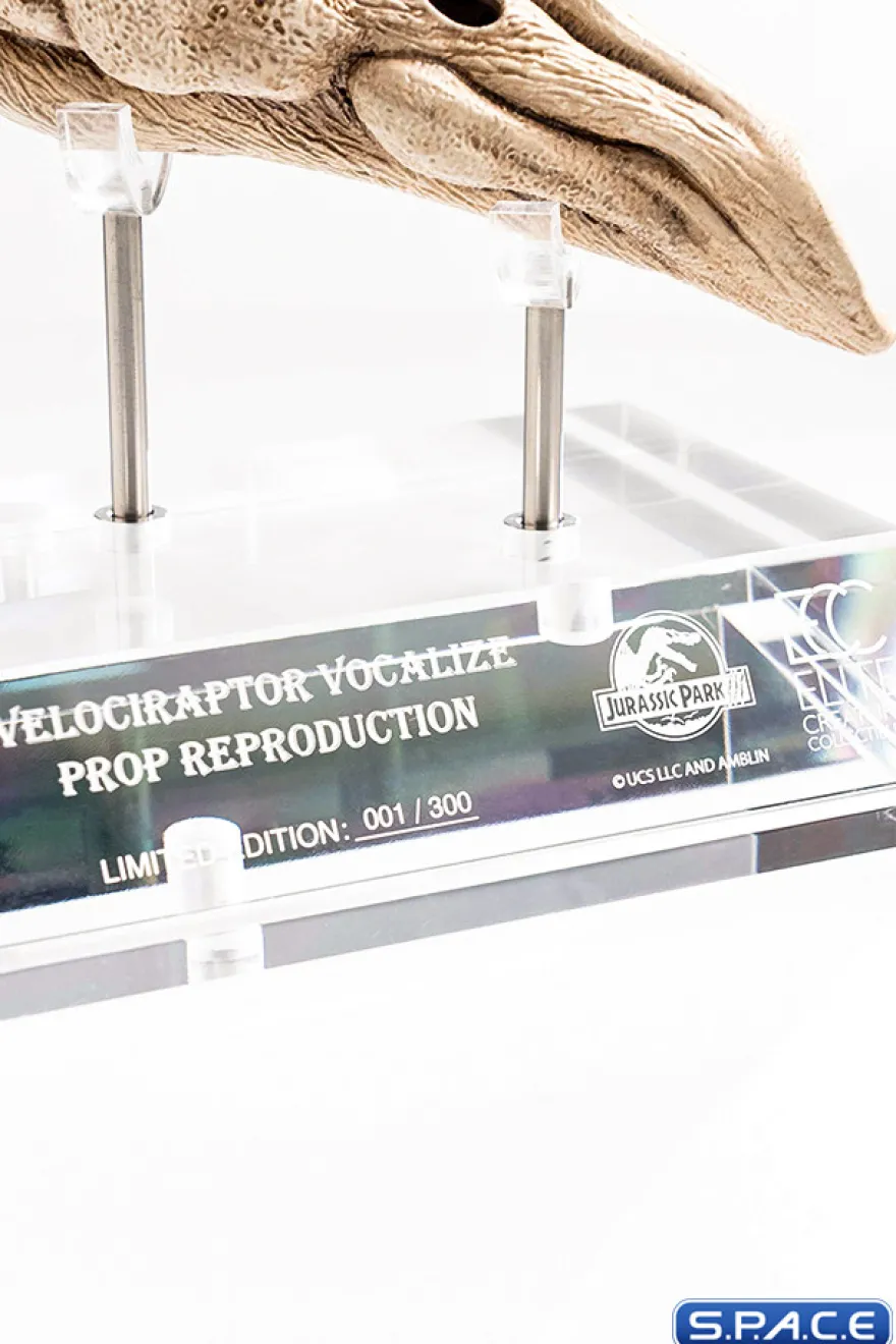 1:1 Velociraptor Resonating Chamber Life-Size Replica