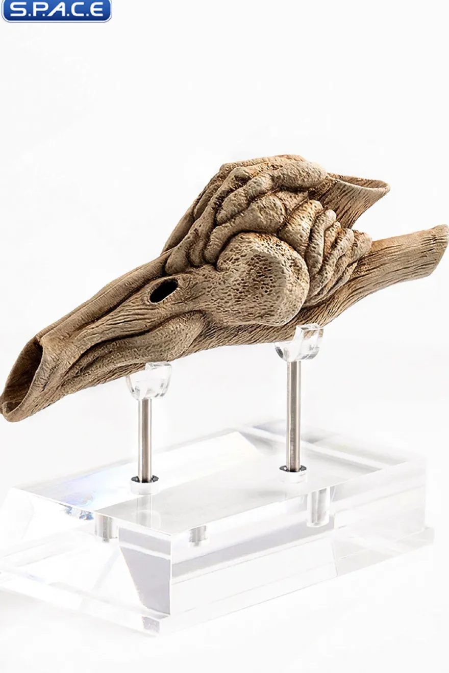 1:1 Velociraptor Resonating Chamber Life-Size Replica
