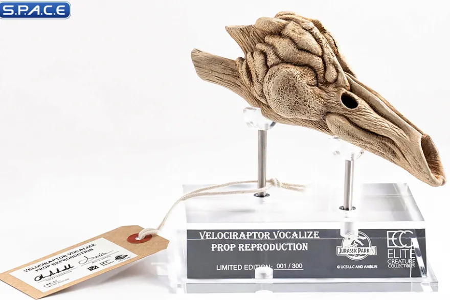 1:1 Velociraptor Resonating Chamber Life-Size Replica