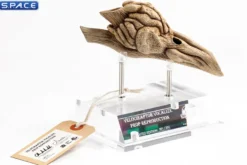 1:1 Velociraptor Resonating Chamber Life-Size Replica