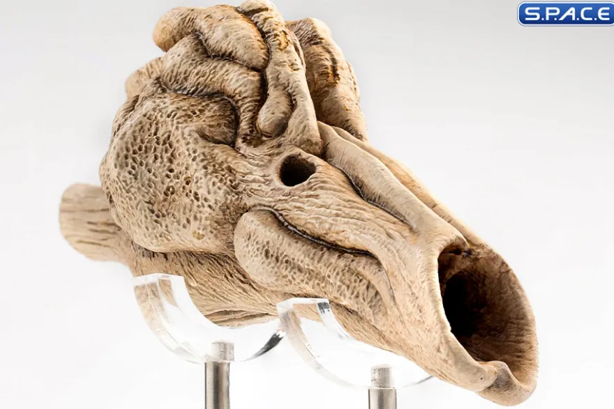 1:1 Velociraptor Resonating Chamber Life-Size Replica