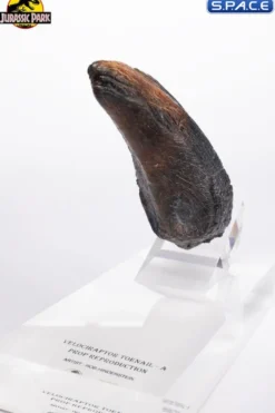 Velociraptor Toenail Type A Prop Replica