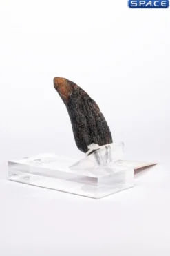 Velociraptor Toenail Type A Prop Replica