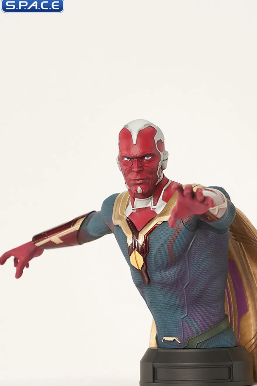 Vision Bust