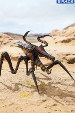 Warrior Bug Exquisite Basic