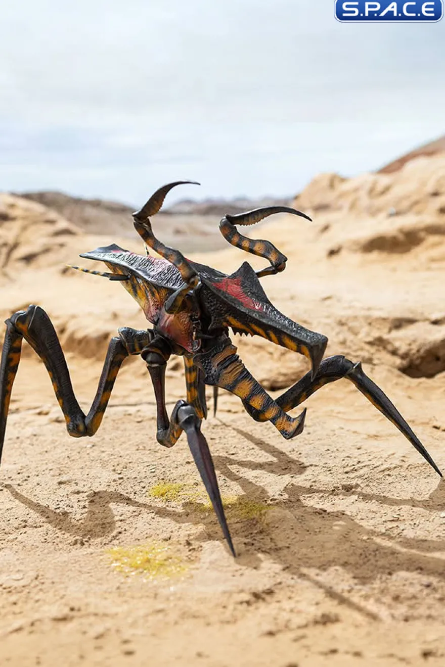 Warrior Bug Exquisite Basic