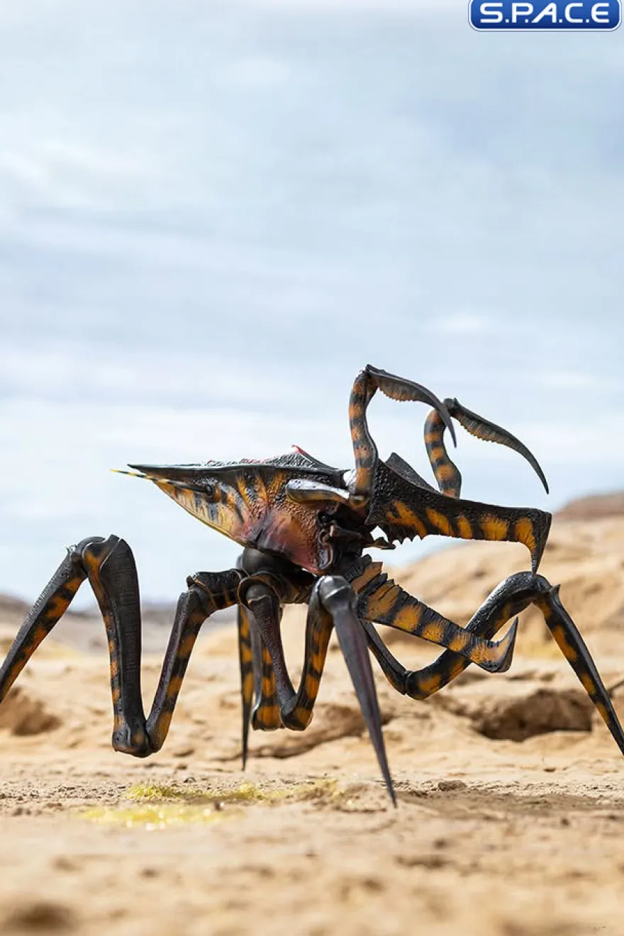 Warrior Bug Exquisite Basic