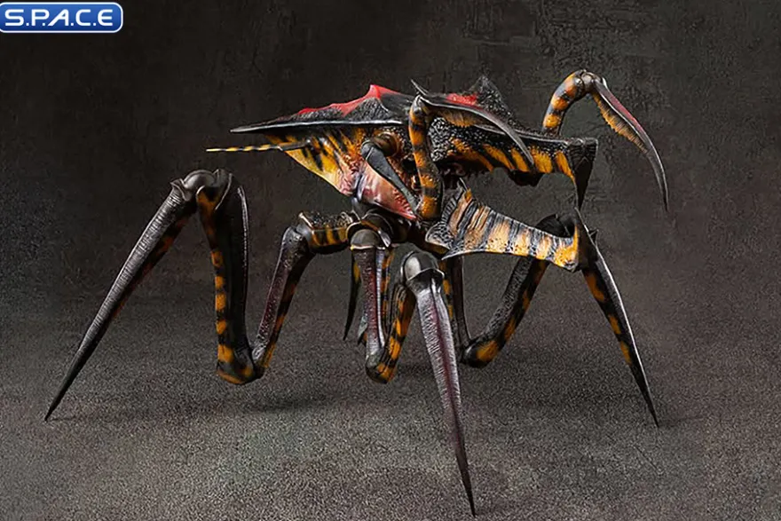 Warrior Bug Exquisite Basic