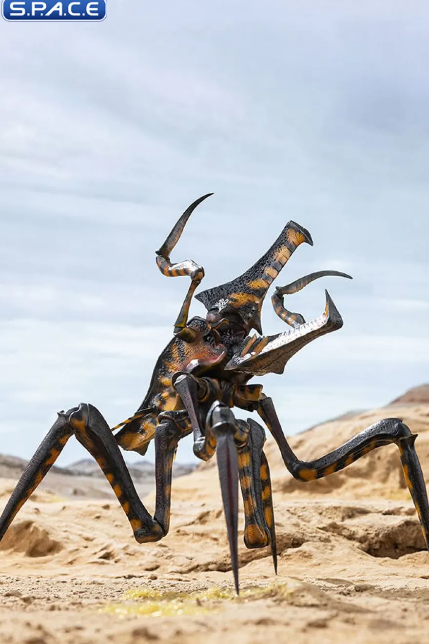 Warrior Bug Exquisite Basic