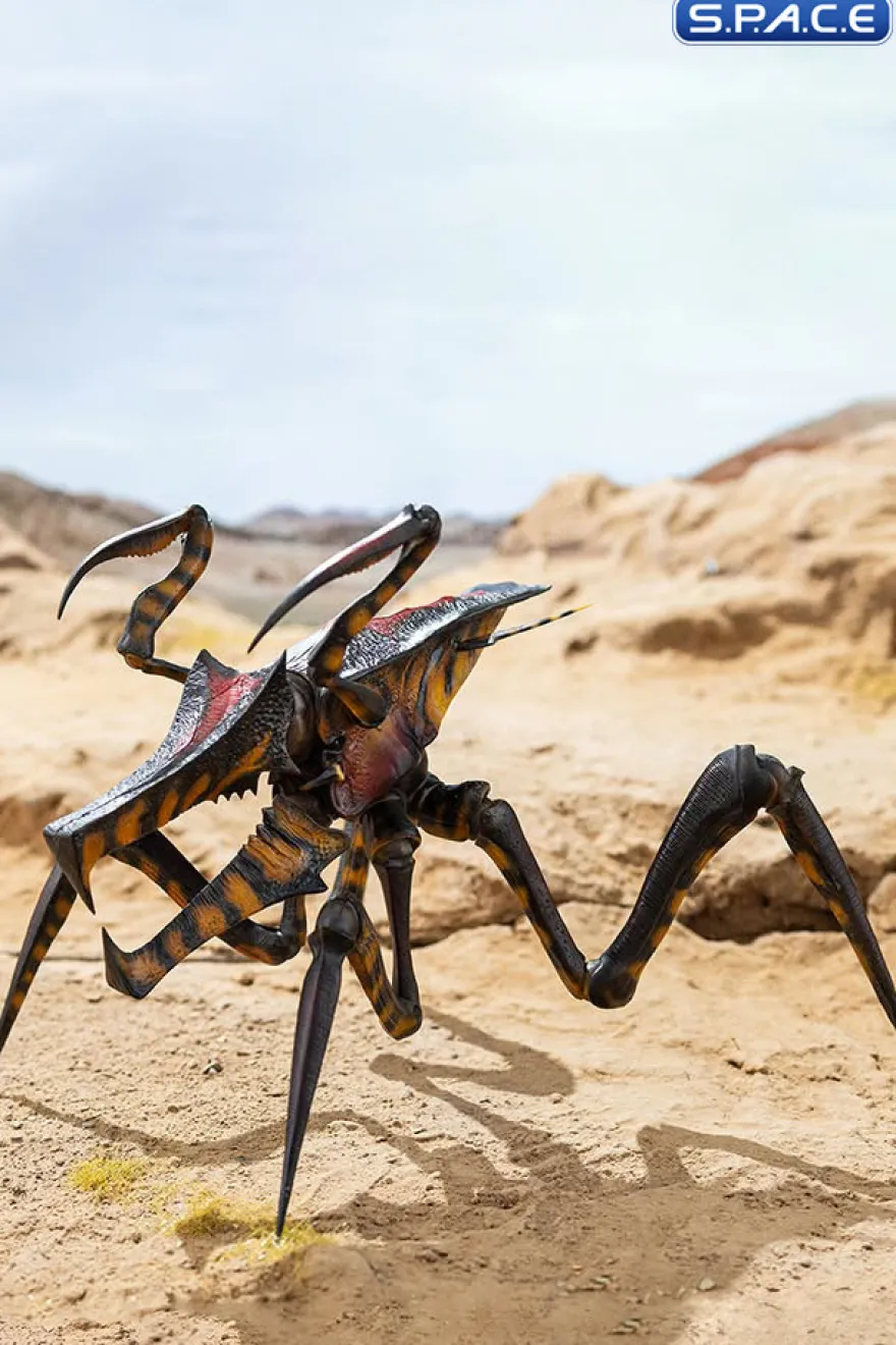 Warrior Bug Exquisite Basic