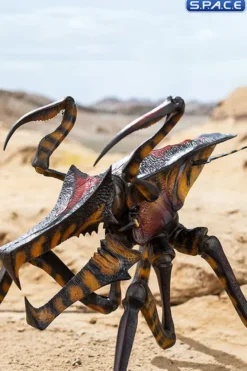 Warrior Bug Exquisite Basic