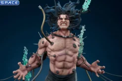 Wolverine: Weapon X Premium Format Figure