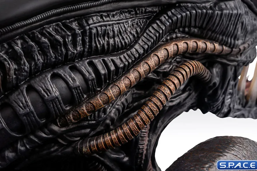 1:1 Xenomorph Life-Size Bust