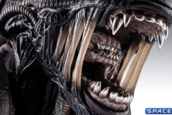 1:1 Xenomorph Life-Size Bust