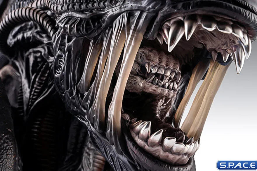 1:1 Xenomorph Life-Size Bust