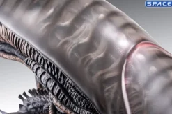 1:1 Xenomorph Life-Size Bust