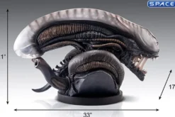 1:1 Xenomorph Life-Size Bust