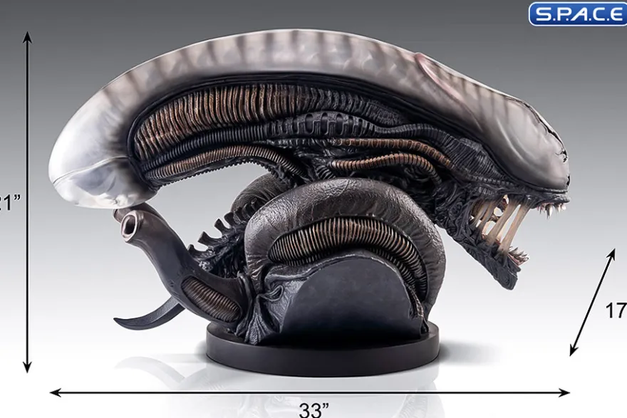 1:1 Xenomorph Life-Size Bust