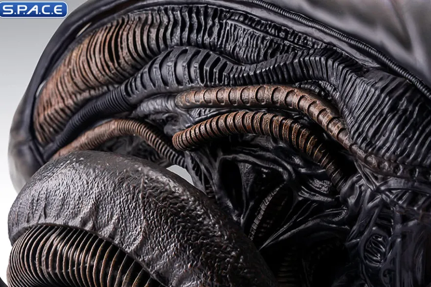 1:1 Xenomorph Life-Size Bust