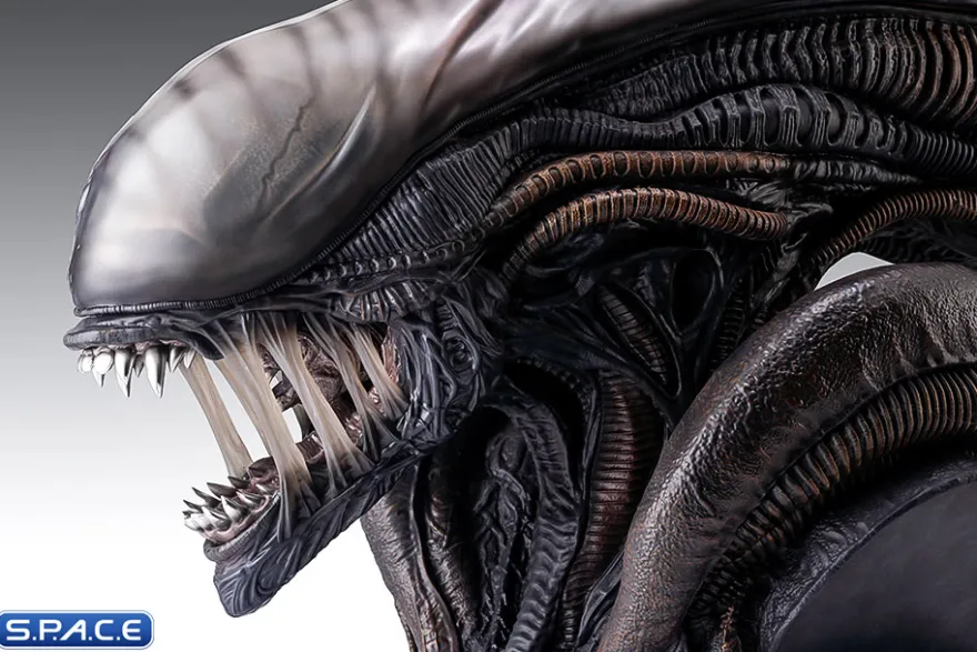 1:1 Xenomorph Life-Size Bust
