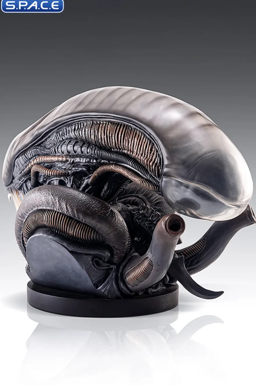 1:1 Xenomorph Life-Size Bust