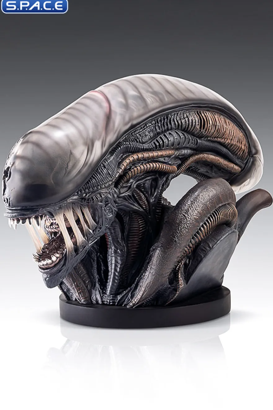 1:1 Xenomorph Life-Size Bust